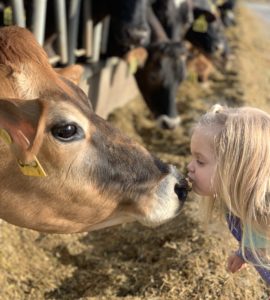 Dwayne's Daughter Kissing Cow on Nose