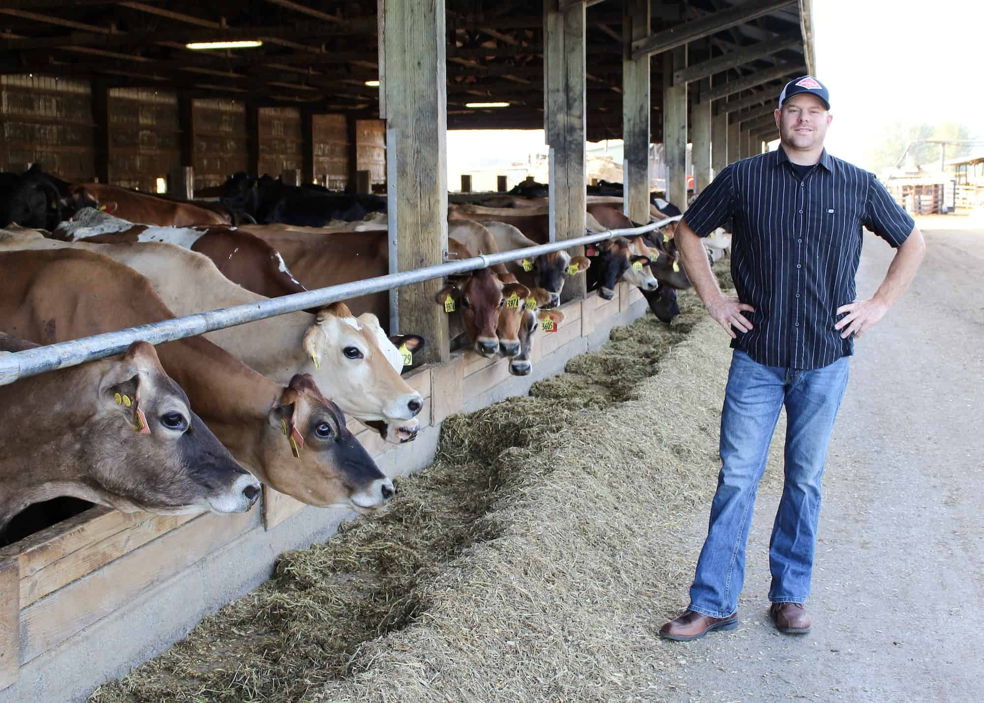 Dwayne Faber cow farmer